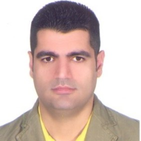 Dr. Mohammad Reza Saeb avatar image