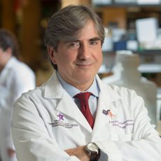 Prof. Dr. Leonidas C Platanias avatar image