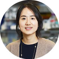 Dr. Minah Kim avatar image