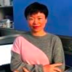 Dr. Bo Ma avatar image