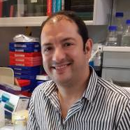 Dr. Alejandro Martín-Montalvo avatar image