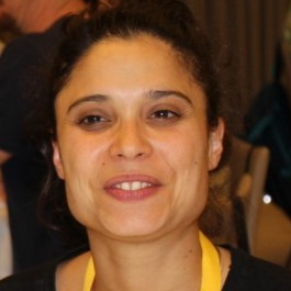 Dr. Sara Fateixa avatar image