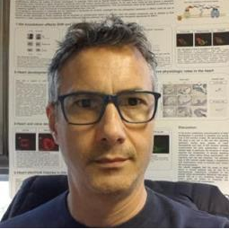 Dr. Enrico Moro avatar image