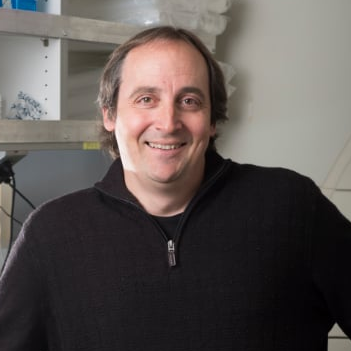 Prof. Dr. Kevin V. Morris avatar image