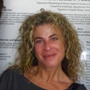 Dr. Laura Menchetti avatar image