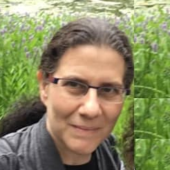 Dr. Rachel Kizony avatar image