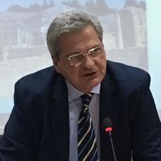 Prof. Dr. Giuseppe Riccio avatar image