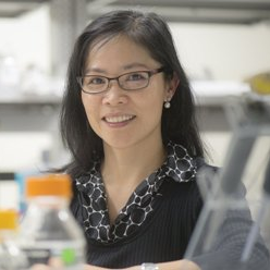 Dr. Zui Pan avatar image