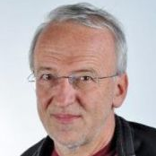 Prof. Reinhard Pippan avatar image