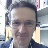 Dr. Roberto Benelli avatar image