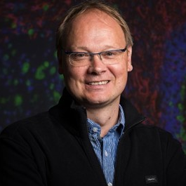 Prof. Dr. Horst Posthaus avatar image