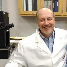 Dr. Michal A. Olszewski avatar image