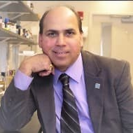 Prof. Dr. Bhanu P. S. Chauhan avatar image