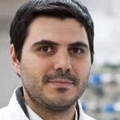 Dr. Domenico Frattini avatar image