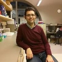 Prof. Dr. Francesco Crea avatar image