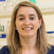 Prof. Dr. Sandra Rebelo avatar image