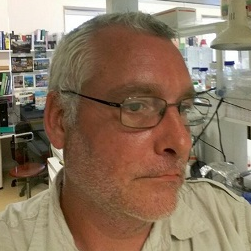 Dr. Florent Hubé avatar image