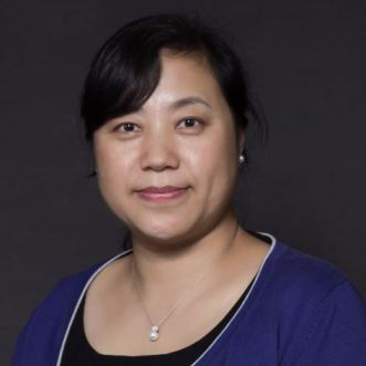 Prof. Dr. Hong Wang avatar image