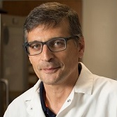 Dr. Nikolas Nikolaidis avatar image