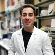 Dr. José David Flores-Félix avatar image