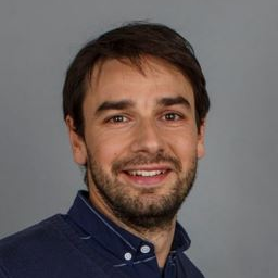 Dr. Federico Martin Ibanez avatar image