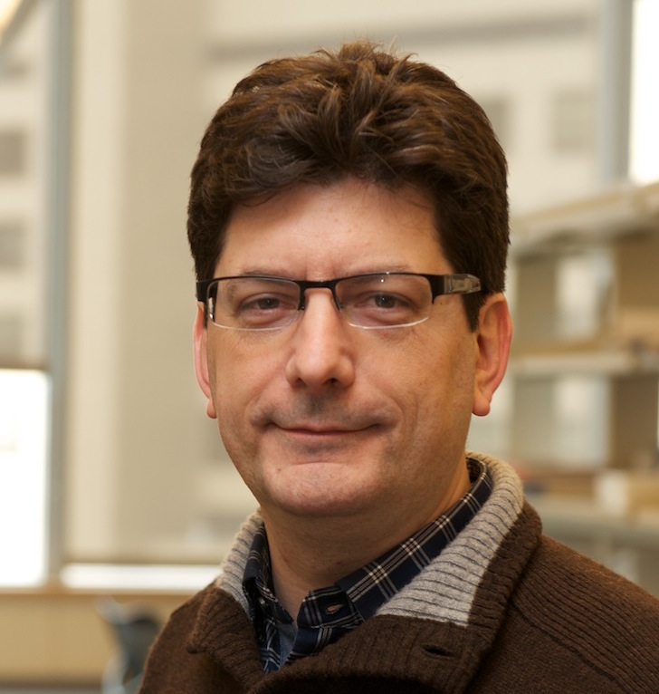 Dr. Alessandro Puiatti avatar image