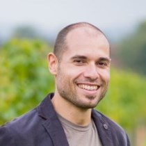 Dr. Wilfried Lepuschitz avatar image