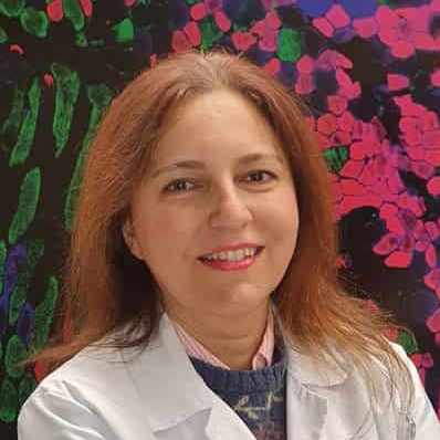 Prof. Dr. María Mercedes Suárez Cunqueiro avatar image