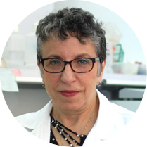 Prof. Dr. Leah Gheber avatar image