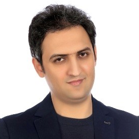 Dr. Hamed Golmohammadi avatar image