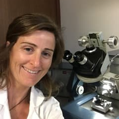 Dr. Silvia Franchi avatar image