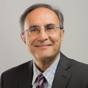 Prof. Dr. Abdol R. Chini avatar image