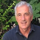 Dr. Giorgio Gatta avatar image