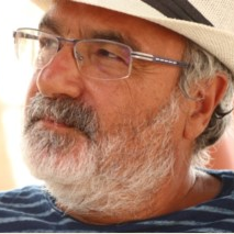 Prof. Maurizio D’Auria avatar image