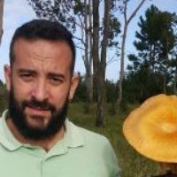 Prof. Dr. Flavio Rodrigues avatar image