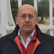 Prof. Dr. Diego Cazorla-Amorós avatar image