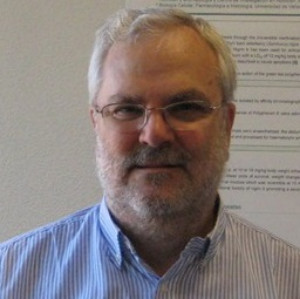 Prof. Tomas Girbes avatar image