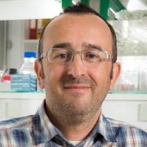 Dr. Regis Giet avatar image