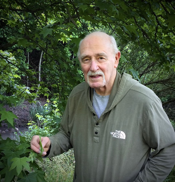 Prof. Dr. Allen Cohen avatar image