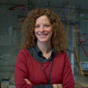 Dr. Maria João Matos avatar image