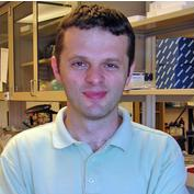 Prof. Dr. Dragan Isailovic avatar image