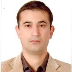 Dr. Amirmansoor Ashrafi avatar image