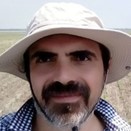 Dr. Donato Loddo avatar image