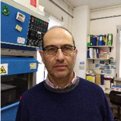 Dr. Semih Esin avatar image