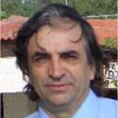 Prof. Dr. Luige Vladareanu avatar image