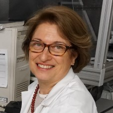 Prof. Dr. Anna Vedda avatar image