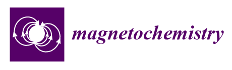 Magchem Logo