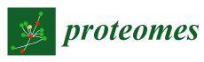 Proteomes Logo