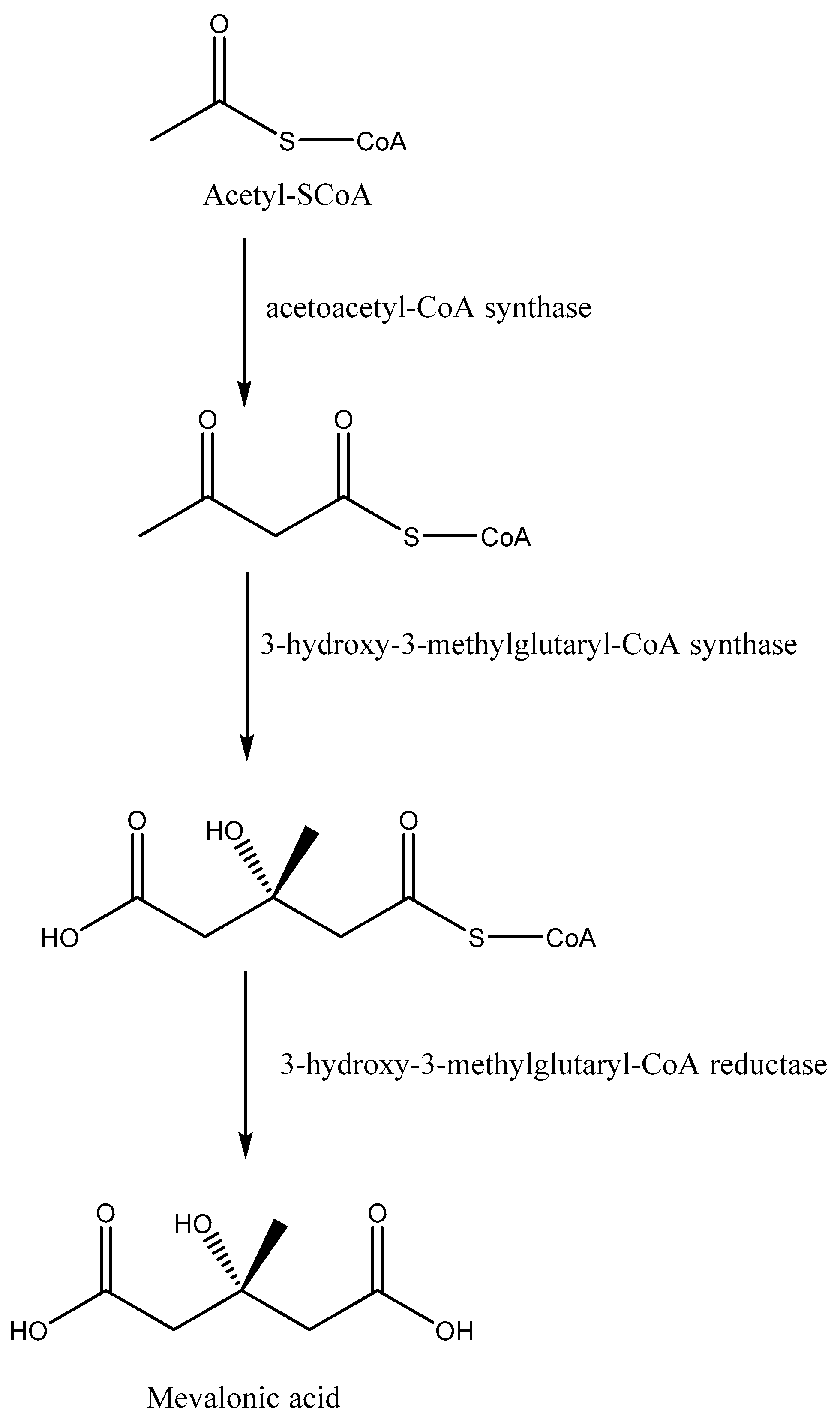 Ddc 02 00032 g002 Ddc 02 00032 g002