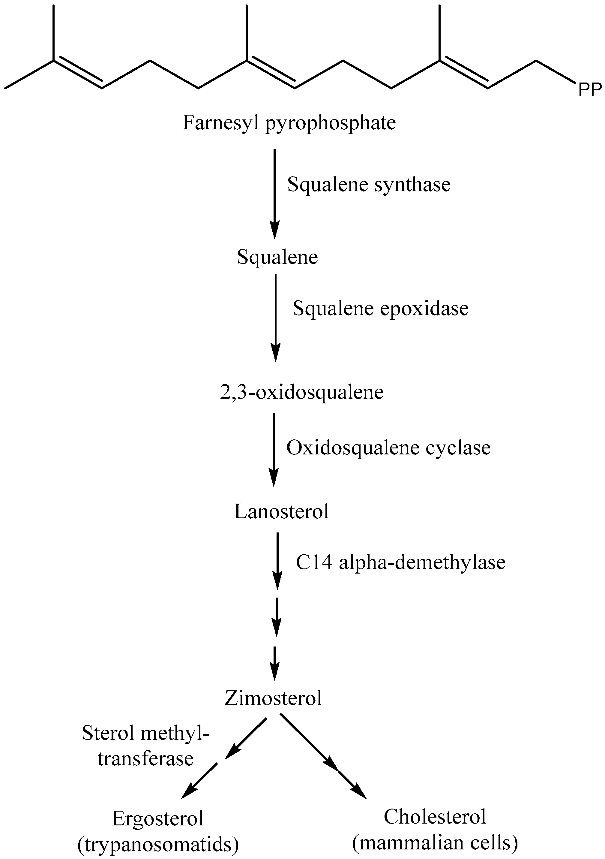 Ddc 02 00032 g003b Ddc 02 00032 g003b